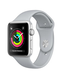 Apple Watch Series 3 (GPS) 42mm Silver Aluminum w. Fog Sport B. - Silver (MQL02), фото 
