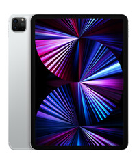 Apple iPad Pro 11 2021 Wi-Fi + Cellular 2TB Silver (MHN33)