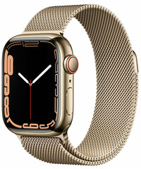Apple_Watch Series 7 GPS + Cellular 41mm Gold Stainless Steel Case with Gold Milanese Loop (MKHH3)