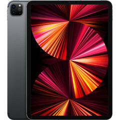 Apple iPad Pro 11 2021 Wi-Fi + Cellular 2TB Space Gray (MHN23)Apple iPad Pro 11 2021 Wi-Fi + Cellular 2TB Space Gray (MHN23)