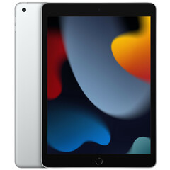 Apple_iPad 10.2 2021 Wi-Fi 64GB Silver (MK2L3)