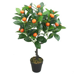 shtuchne-apelsinove-derevo-bonsaj-orange-tree