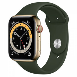Apple Watch Series 6 GPS + Cellular 44mm Gold Stainless Steel Case w. Cyprus Green Sport B. (M07N3/M09F3)