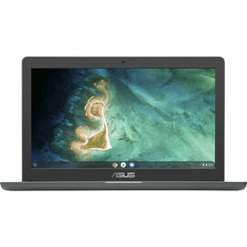 Ноутбук Asus Chromebook C403N (C403NA-FQ0062) 90NX01P1-M00890