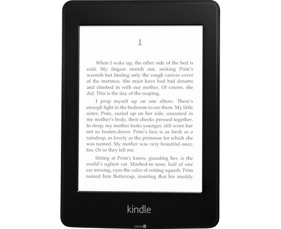Amazon Kindle 5 Paperwhite, фото 