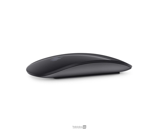 Мышь Apple Magic Mouse 2 - Space Gray (MRME2), фото 