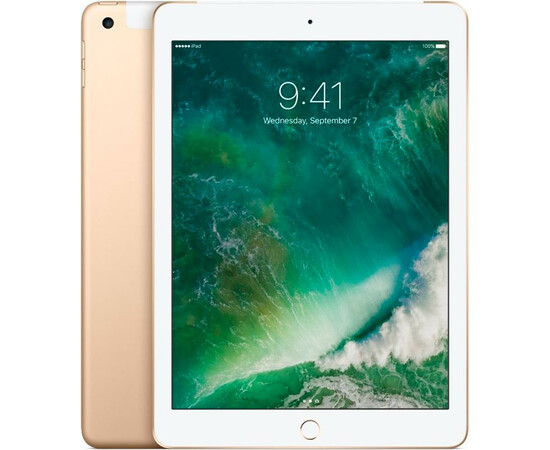 Apple iPad mini 4 Wi-Fi + Cellular 64GB Gold (MK8C2, MK722) вид с двух сторон