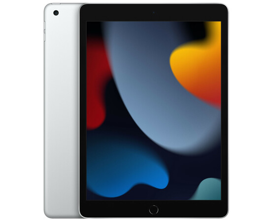 Apple_iPad 10.2 2021 Wi-Fi + Cellular 64GB Silver (MK673, MK493)