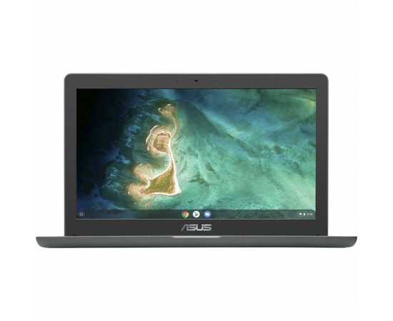 Ноутбук Asus Chromebook C403N (C403NA-FQ0062) 90NX01P1-M00890
