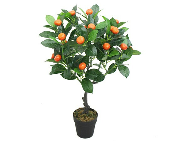 shtuchne-apelsinove-derevo-bonsaj-orange-tree